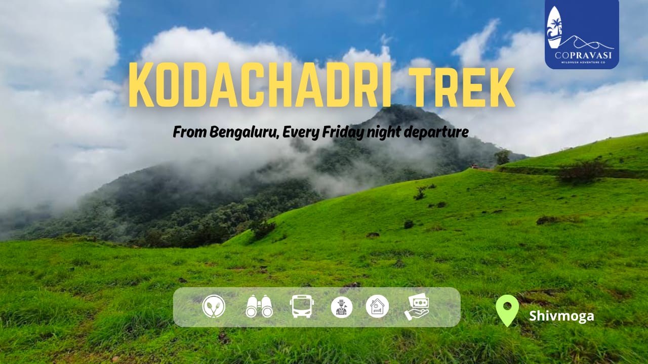 Kodachadri Trek from Bangalore | Weekend Trek Package | CoPravasi  - Main View